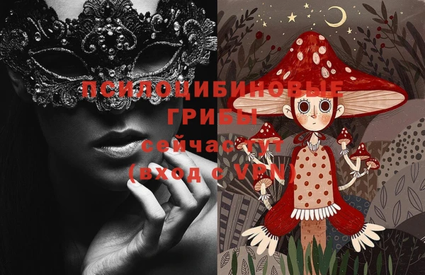 spice Алзамай
