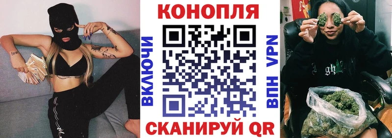 MEGA онион  Ивдель  Бошки марихуана сатива  купить закладку 